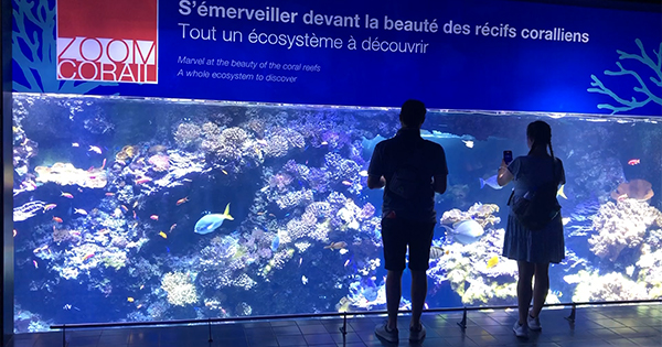 Monaco Oşinografi Müzesi