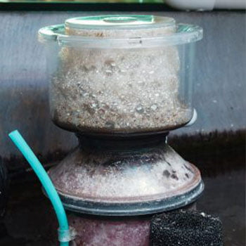 neredeyse tamamı dolu bir protein skimmer kabı