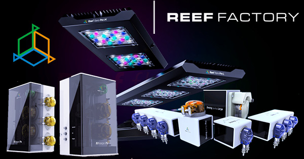 Reef Factory İncelemesi