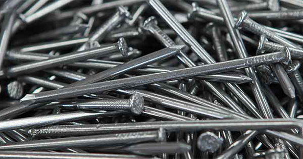 Tuzlu Su Akvaryumlarında Çivi Demir Kullanımı 2