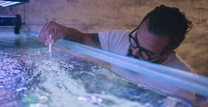 Akvaryumlarda Fosfat Değeri ve Fosfatı Düşürmek