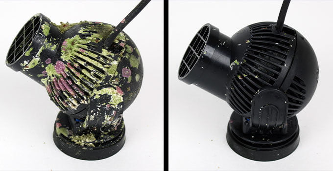 coralline alge kaplamış dalga motoru